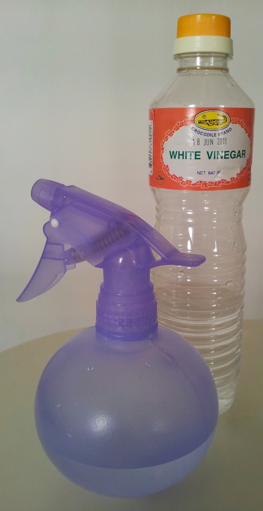 1 part vinegar to 2 parts water! that's all!  and yes, the vinegar's expired loooonggg time ago - but I use it only for cleaning so figured it's still okay. 