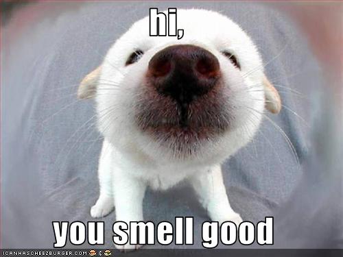 smell nice